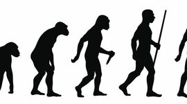 Timeline: La evolucion del ser humano