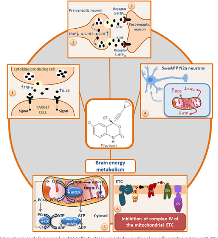 APROBACIÓN DEL EFAVIRENZ  (EFV)