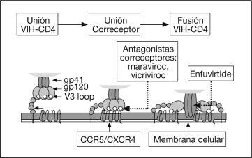 PRIMER INHIBIDOR DE LA FUSIÓN APROBADO