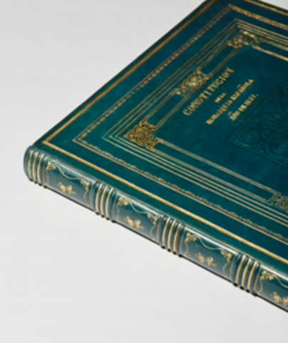 Nueva Constitución (progresista)