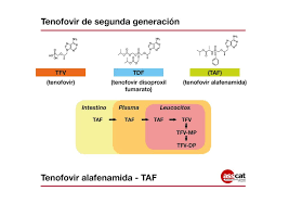 Tenofovir alafenamida fumataro