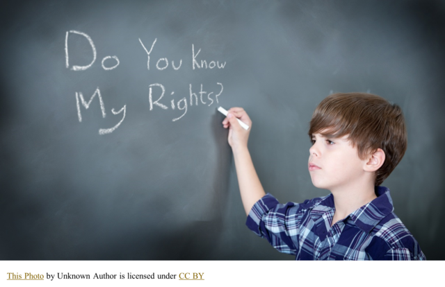 The American Association on Intellectual and Developmental Disabilities (AAIDD)