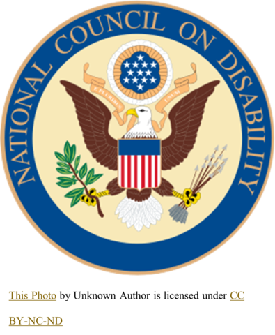 Individuals with Disabilities Education Improvement Act of 2004 (IDEA)