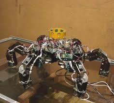 éxito al Monte Spur