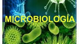 Timeline: Historia de la Microbiología