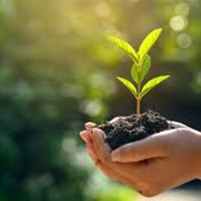 Timeline: Aportaciones a la Ecología