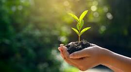 Timeline: Aportaciones a la Ecología