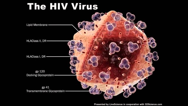 DESCUBRIMIENTO DEL VIRUS