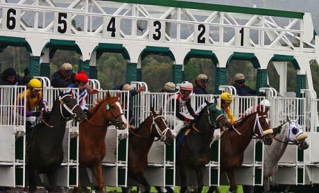 Primeiro esporte oficial praticado no país: Turfe