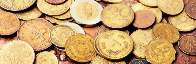 Introduccion de la Moneda