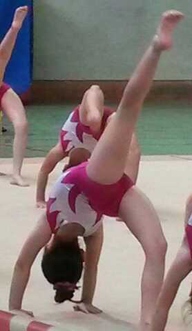 Vaig començar a fer gimnàstica artística