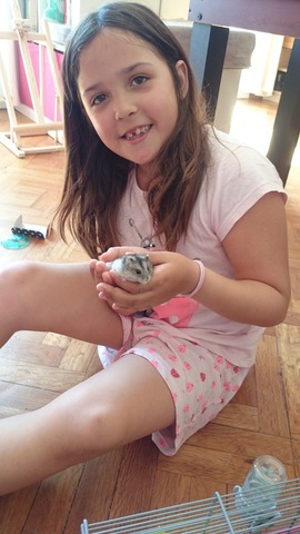 Em regalen un hàmster