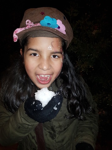 La primera vegada que vaig veure la neu