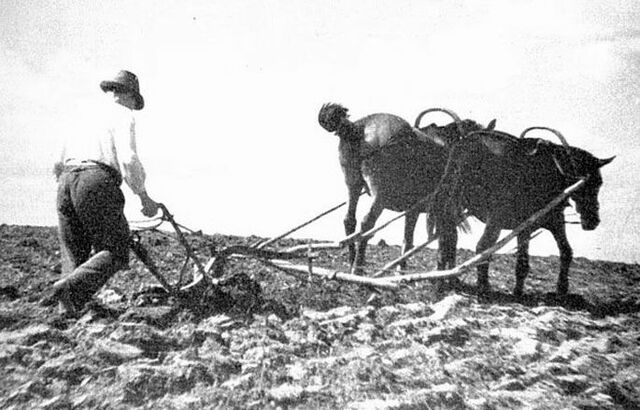 Pärisorjus Rootsi ajal