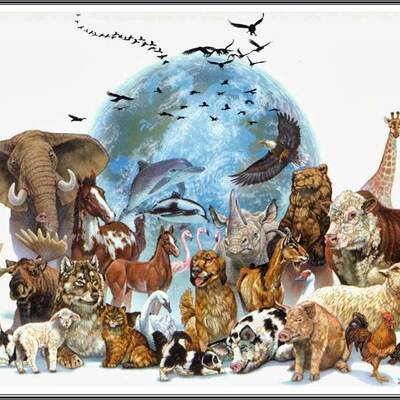 Timeline: FIJISTAS EVOLUCIONISTAS