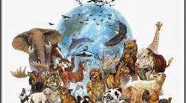 Timeline: FIJISTAS EVOLUCIONISTAS