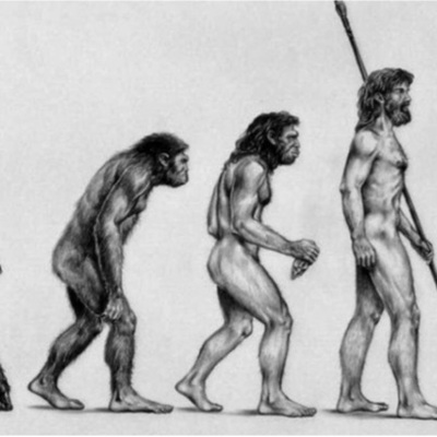 Timeline: DESARROLLO DE LA TEORÍA DE LA EVOLUCIÓN