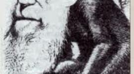 Timeline: fijistas y evolucionistas