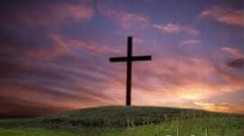 Timeline: Alyssa 2011 school year