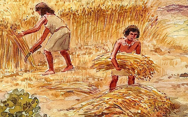 Descoberta de l'Agricultura