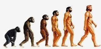 Aparició dels primers homínids