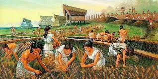 Descoberta de l'Agricultura