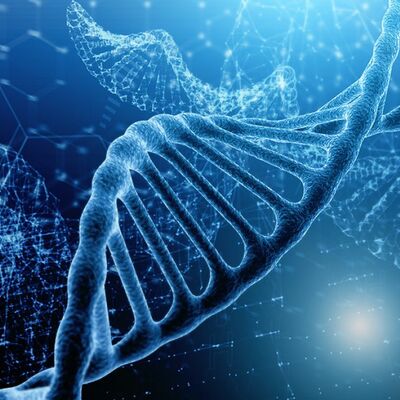 Timeline: La Storia del DNA