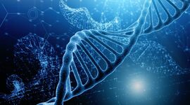 Timeline: La Storia del DNA