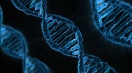 Timeline: La storia del DNA