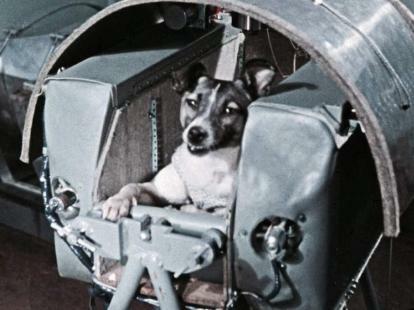 Sputnik 2 y Laika