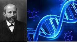 Timeline: Contexto historico 1869-1953