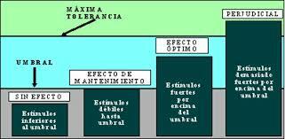 Teoría de la integración entre estímulos y la materia viva.