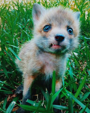 The Rescuing of Salvador pt.1