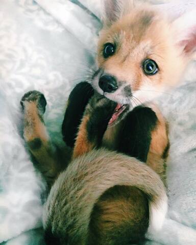 Stronger grows the bonds and strength