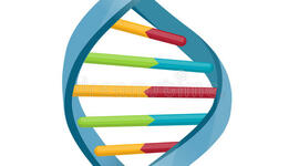 Timeline: Descubrimiento y descripción de la estructura del ADN.