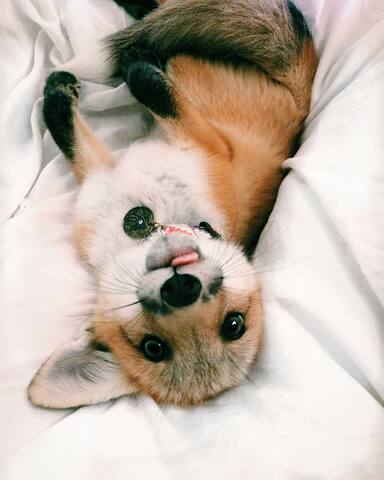 Charity but not Pity