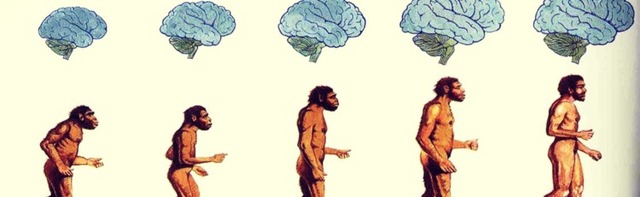 TEORÍA DE LA EVOLUCIÓN