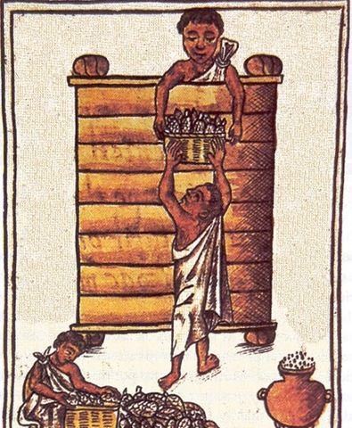 Siglo XX Periodo Precolonial México