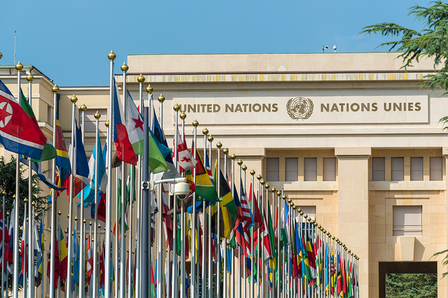 Organización de las Naciones Unidas