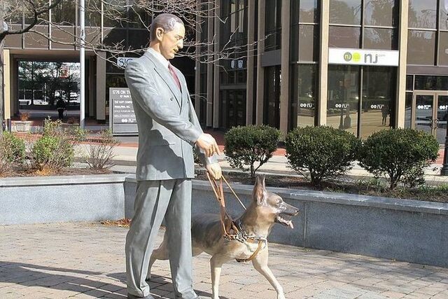 Seeing Eye Dogs were Introduced