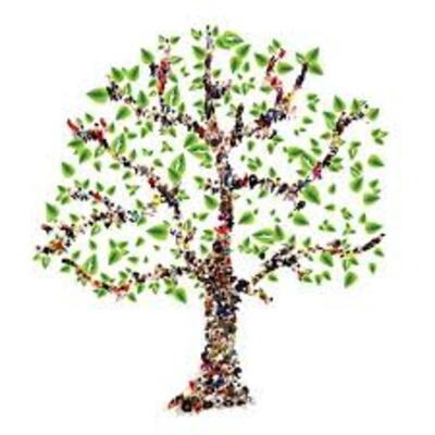 Timeline: Árbol genealógico