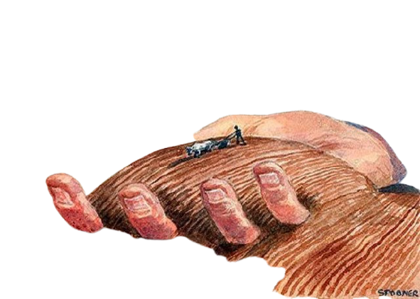 APARICION DE LA PROPIEDAD PRIVADA.