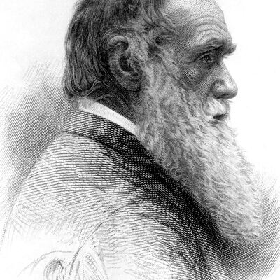 Timeline: Charles Darwin 1809-1882