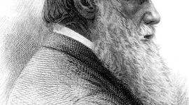 Timeline: Charles Darwin 1809-1882