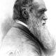 Charlesdarwin
