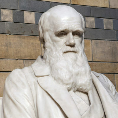 Timeline: Charles Darwin's biography