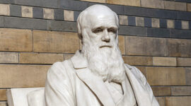 Timeline: Charles Darwin's biography