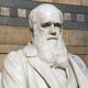 Charles darwin e1567011203799