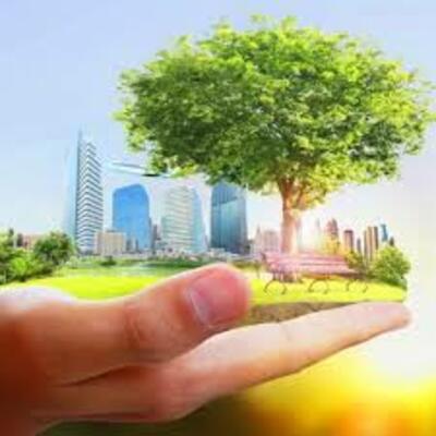 Timeline: Экология