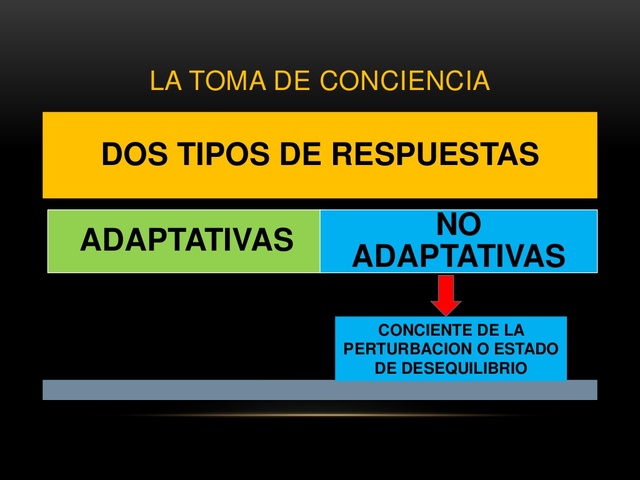 Según Piaget, hay dos tipos de respuestas al desequilibrio